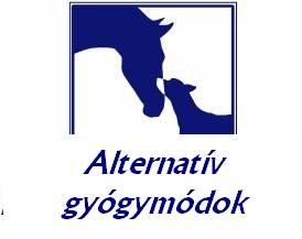 Vajky Andrea fizioterapeuta
